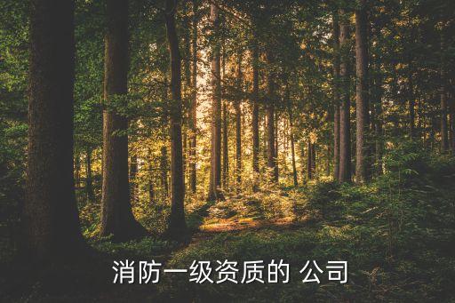  消防一級資質(zhì)的 公司