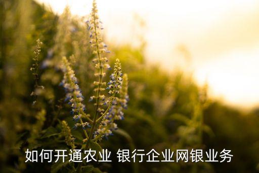 如何開通農(nóng)業(yè) 銀行企業(yè)網(wǎng)銀業(yè)務(wù)