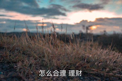 怎么合理 理財(cái)