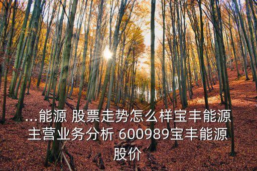 ...能源 股票走勢怎么樣寶豐能源主營業(yè)務(wù)分析 600989寶豐能源股價