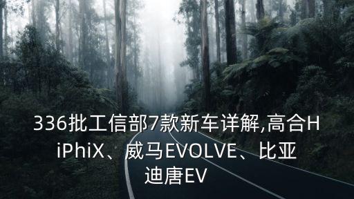 336批工信部7款新車詳解,高合HiPhiX、威馬EVOLVE、比亞迪唐EV