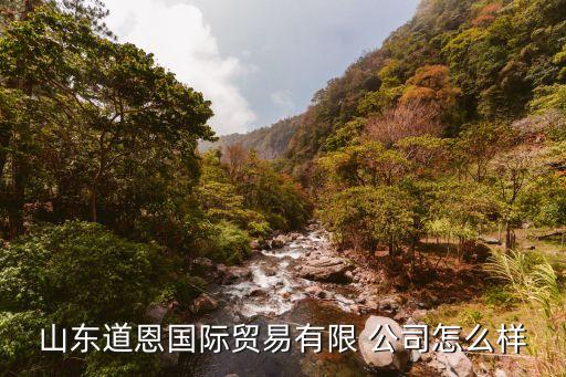 山東道恩國際貿(mào)易有限 公司怎么樣