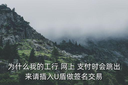 為什么我的工行 網(wǎng)上 支付時(shí)會跳出來請插入U(xiǎn)盾做簽名交易