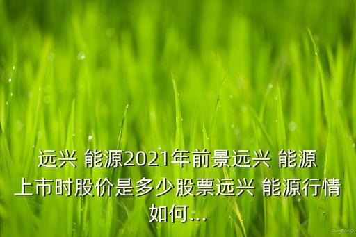 遠(yuǎn)興 能源2021年前景遠(yuǎn)興 能源上市時(shí)股價(jià)是多少股票遠(yuǎn)興 能源行情如何...