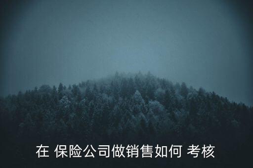 在 保險(xiǎn)公司做銷售如何 考核