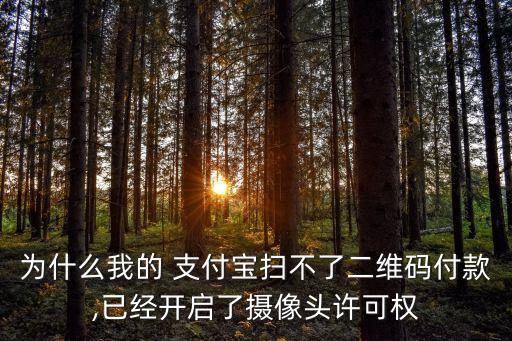 為什么我的 支付寶掃不了二維碼付款,已經(jīng)開啟了攝像頭許可權(quán)