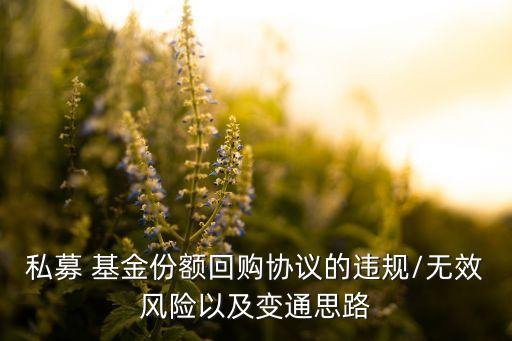 私募 基金份額回購協(xié)議的違規(guī)/無效風(fēng)險以及變通思路