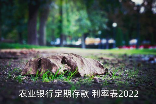  農(nóng)業(yè)銀行定期存款 利率表2022