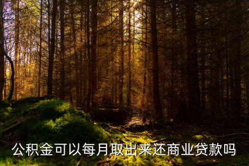 洛陽擔(dān)保公司林巖