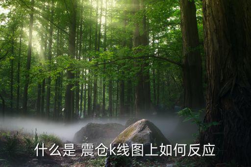 股票震倉(cāng)是什么意思,股票折算率是什么意思