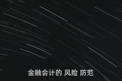 金融會(huì)計(jì)的 風(fēng)險(xiǎn) 防范