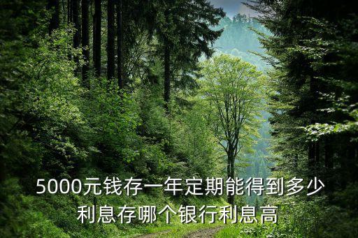  5000元錢存一年定期能得到多少利息存哪個(gè)銀行利息高