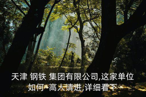 天津 鋼鐵 集團(tuán)有限公司,這家單位如何~高人請進(jìn),詳細(xì)看下