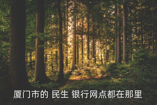 廈門市的 民生 銀行網(wǎng)點(diǎn)都在那里