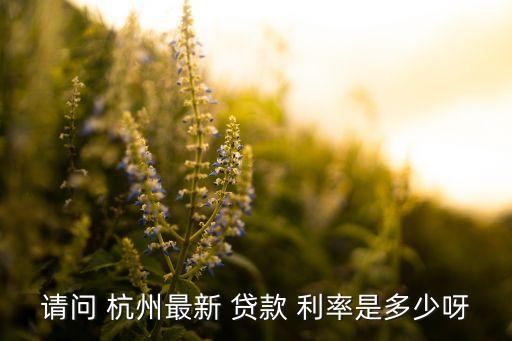 請問 杭州最新 貸款 利率是多少呀