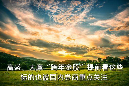  高盛、大摩“跨年金股”提前看這些標(biāo)的也被國內(nèi)券商重點關(guān)注