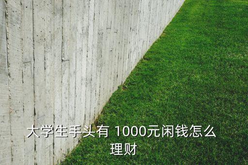 大學生手頭有 1000元閑錢怎么 理財