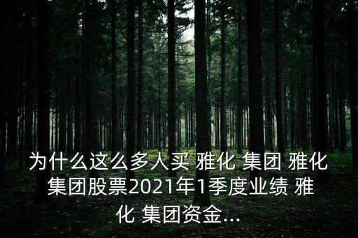 為什么這么多人買 雅化 集團(tuán) 雅化 集團(tuán)股票2021年1季度業(yè)績 雅化 集團(tuán)資金...