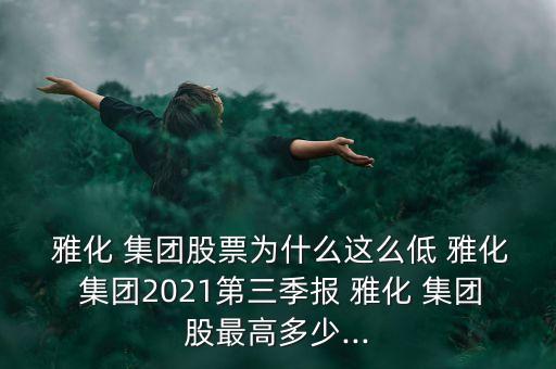  雅化 集團(tuán)股票為什么這么低 雅化 集團(tuán)2021第三季報(bào) 雅化 集團(tuán)股最高多少...