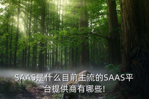 SAAS是什么目前主流的SAAS平臺(tái)提供商有哪些!