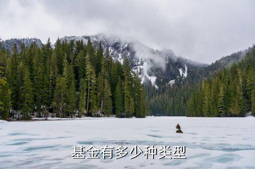 基金有幾大類,特殊類基金分為哪幾類