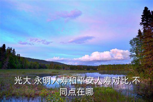 光大永明保險公司動向,天津光大永明保險公司地址