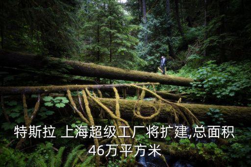 特斯拉 上海超級(jí)工廠將擴(kuò)建,總面積46萬平方米