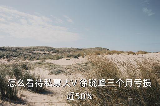 怎么看待私募大V 徐曉峰三個月虧損近50%