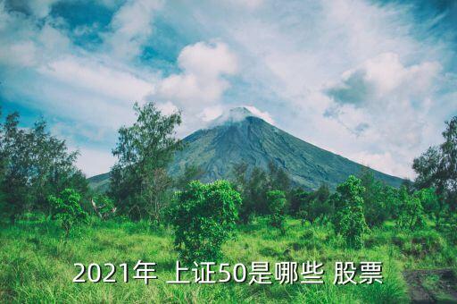 2021年 上證50是哪些 股票