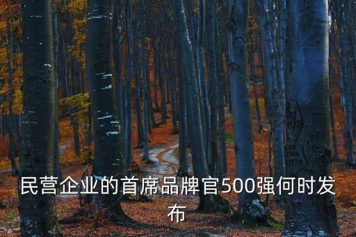 民營(yíng)企業(yè)的首席品牌官500強(qiáng)何時(shí)發(fā)布