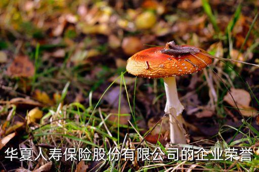 華夏人壽保險股份有限公司的企業(yè)榮譽