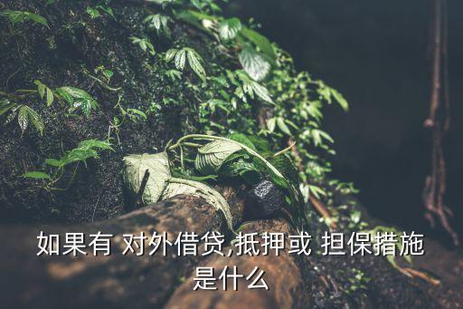 如果有 對外借貸,抵押或 擔(dān)保措施是什么