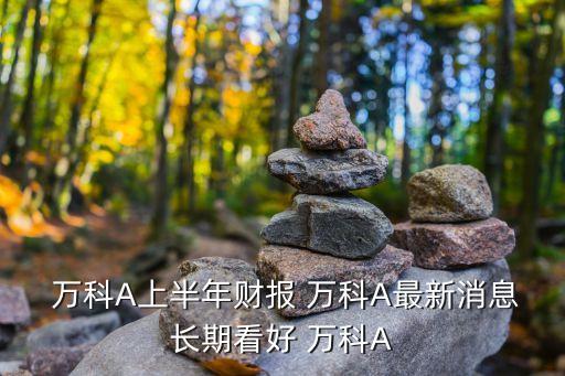  萬科A上半年財(cái)報(bào) 萬科A最新消息長期看好 萬科A