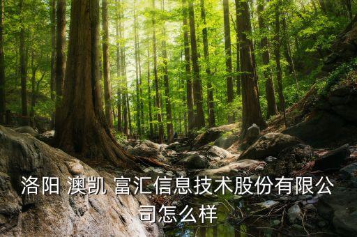 洛陽 澳凱 富匯信息技術(shù)股份有限公司怎么樣