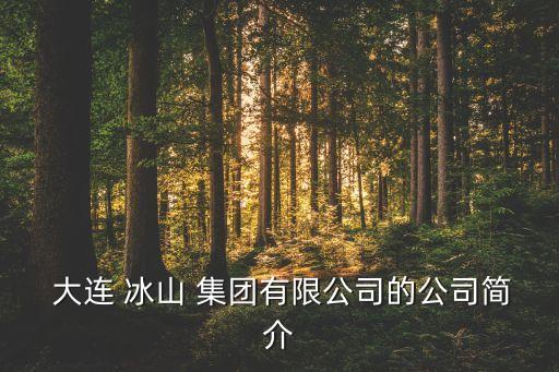  大連 冰山 集團有限公司的公司簡介