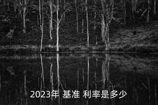 人民銀行基準(zhǔn)同業(yè)利率,2021年人民銀行基準(zhǔn)貸款利率表利率