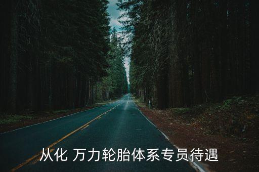 萬力控股有限公司破產(chǎn),無錫萬力粘合材料有限公司