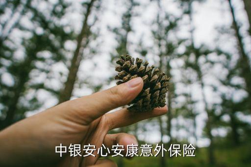 中國銀行產(chǎn)品介紹