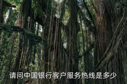 請(qǐng)問中國銀行客戶服務(wù)熱線是多少