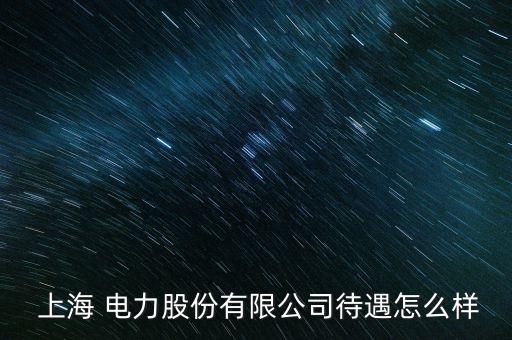  上海 電力股份有限公司待遇怎么樣