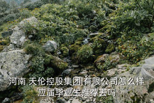 河南 天倫控股集團 有限公司怎么樣應(yīng)屆畢業(yè)生推薦去嗎