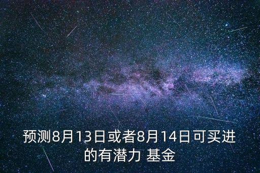 預測8月13日或者8月14日可買進的有潛力 基金