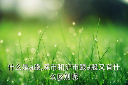 什么是a股,深市和滬市跟a股又有什么區(qū)別呢