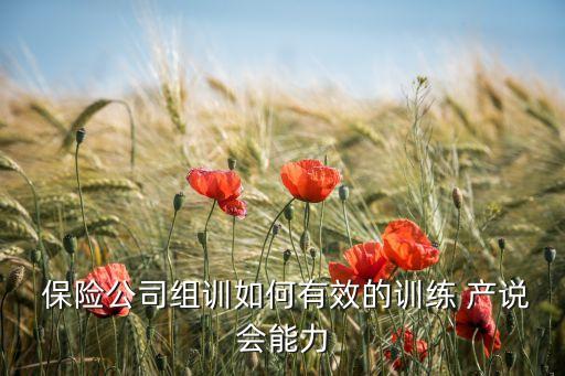  保險(xiǎn)公司組訓(xùn)如何有效的訓(xùn)練 產(chǎn)說會能力