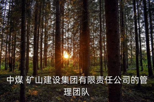 中煤 礦山建設(shè)集團有限責(zé)任公司的管理團隊