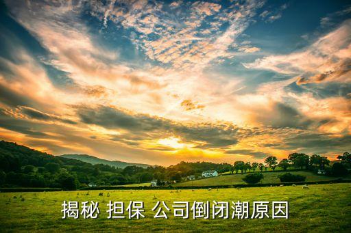 揭秘 擔(dān)保 公司倒閉潮原因