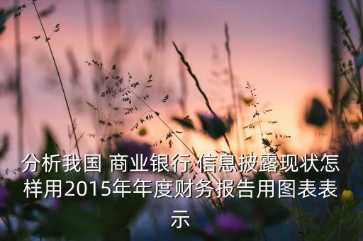 分析我國 商業(yè)銀行 信息披露現(xiàn)狀怎樣用2015年年度財務報告用圖表表示