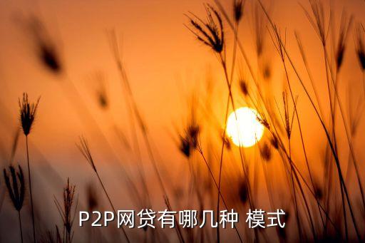 P2P網貸有哪幾種 模式