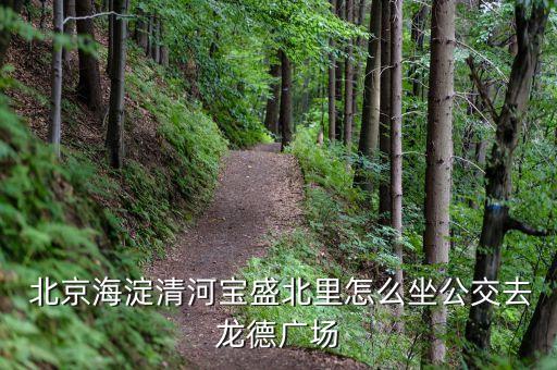  北京海淀清河寶盛北里怎么坐公交去龍德廣場