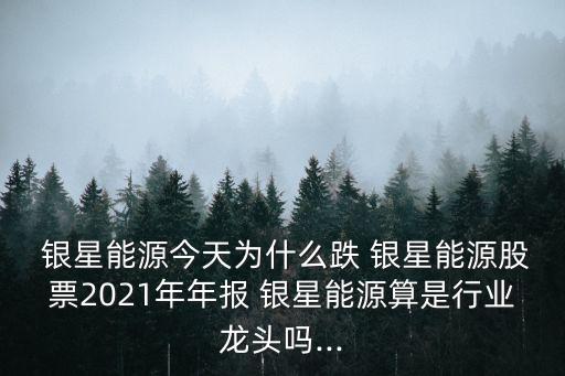  銀星能源今天為什么跌 銀星能源股票2021年年報(bào) 銀星能源算是行業(yè)龍頭嗎...